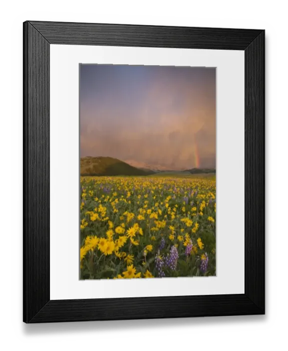 Framed Print : USA, North America, Wyoming Framed Print : USA, North America, Wyoming