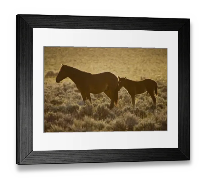 Framed Print : USA, North America, Wyoming Framed Print : USA, North America, Wyoming