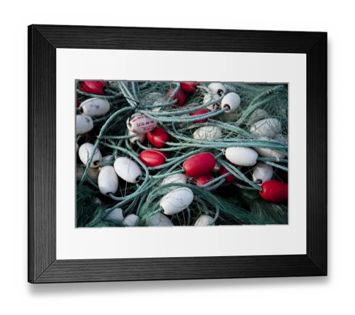 Framed Print : USA, Washington, Seattle Framed Print : USA, Washington, Seattle