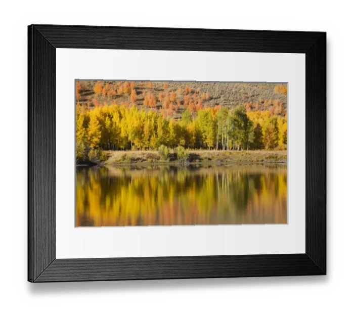 Framed Print : USA, North America, Wyoming