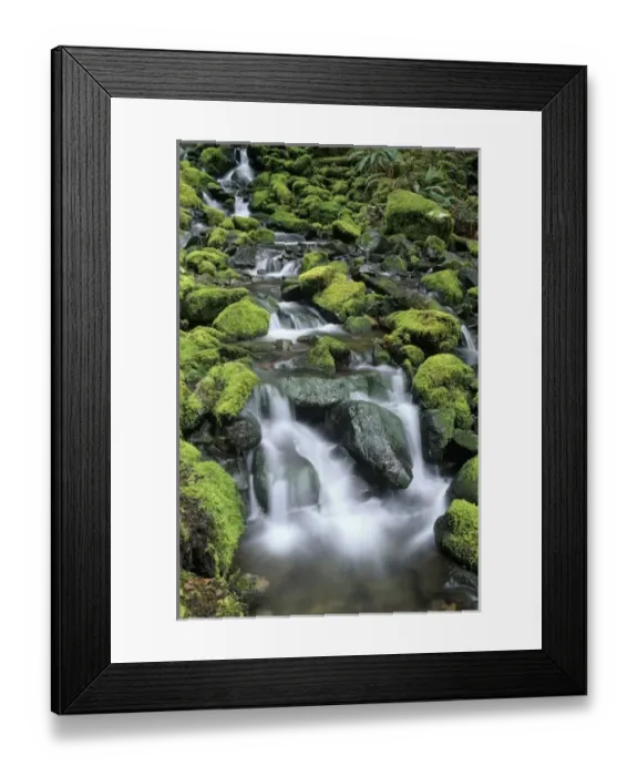 Framed Print : USA, North America, Washington Framed Print : USA, North America, Washington