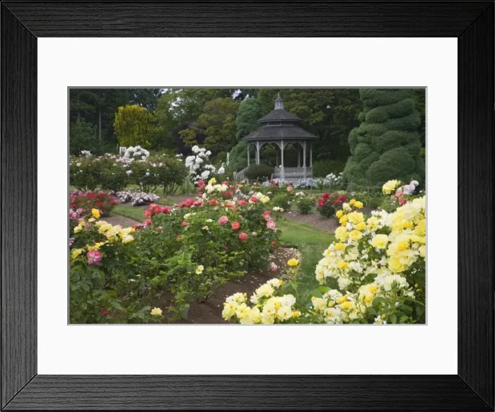 Framed Print : USA, North America, Washington Framed Print : USA, North America, Washington