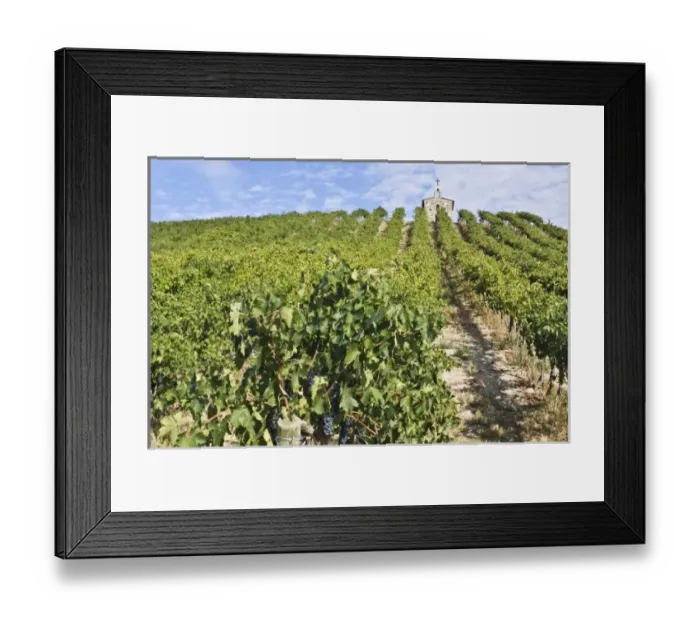 Framed Print : USA, North America, Washington Framed Print : USA, North America, Washington