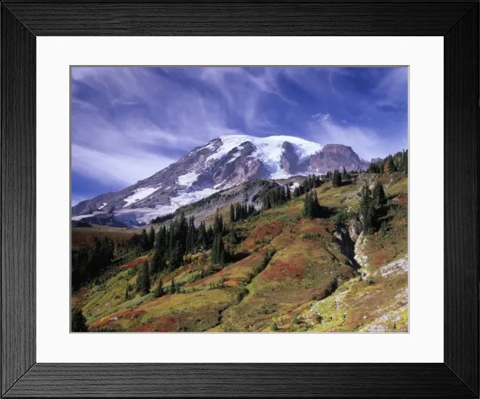 Framed Print : Mount Rainier. autumn view from Skyline Trail. Mount Rainier National Park, WA
