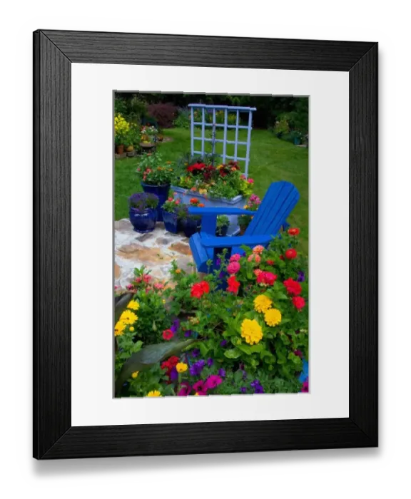 Framed Print : Container Garden design with blue chair in our Garden Sammamish, Washington Framed Print : Container Garden design with blue chair in our Garden Sammamish, Washington