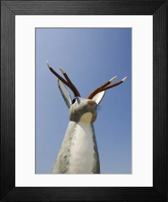 Framed Print : Douglas, Wyoming. USA. Statue of Jackalope (legendary antlered jackrabbit) at Centennial Framed Print : Douglas, Wyoming. USA. Statue of Jackalope (legendary antlered jackrabbit) at Centennial
