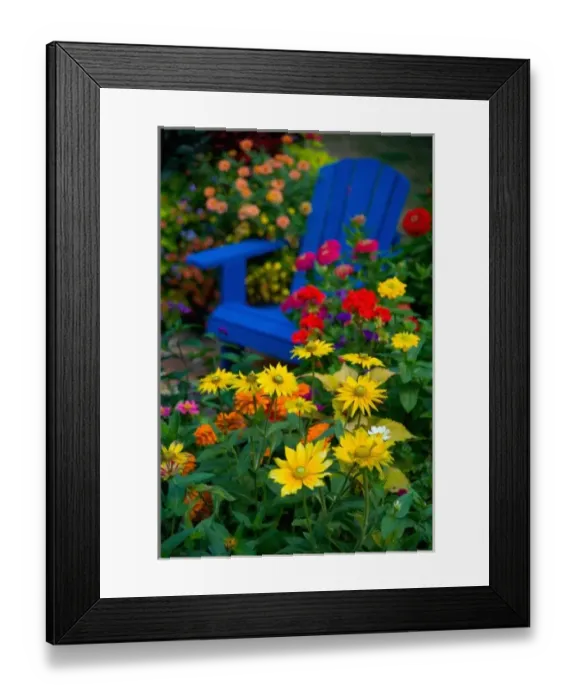 Framed Print : Garden designs in our Garden Sammamish, Washington Framed Print : Garden designs in our Garden Sammamish, Washington
