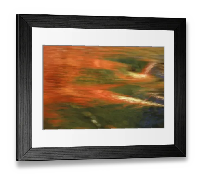 Framed Print : USA, Washington, Lake Wenatchee. Fall colored leaves reflecting in stream