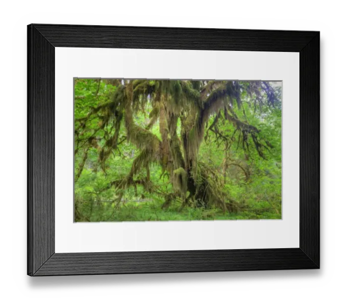 Framed Print : USA, North America, Washington