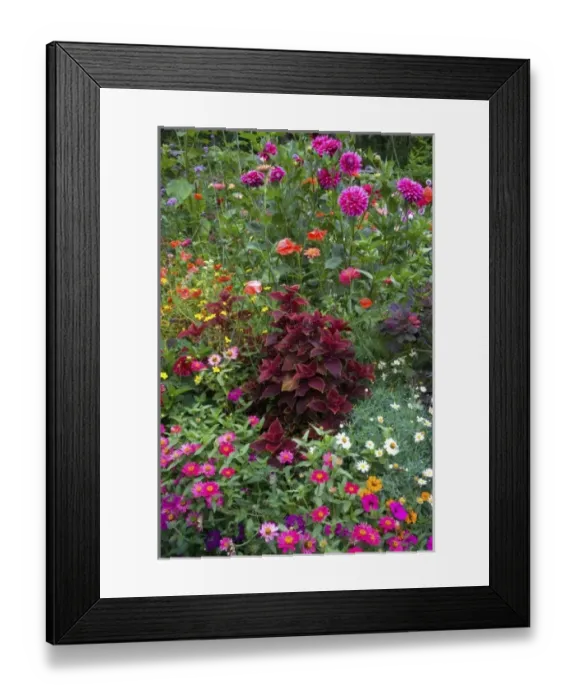 Framed Print : Flower Garden designs - Sammamish, Washington Framed Print : Flower Garden designs - Sammamish, Washington