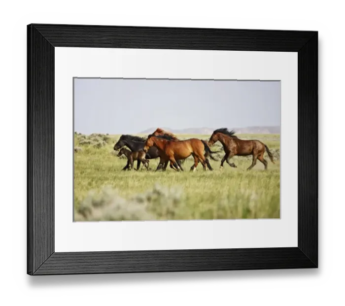 Framed Print : USA, North America, Wyoming Framed Print : USA, North America, Wyoming