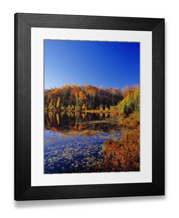Framed Print : Small pond reflects autumn colors in the Chequamegon- Nicolet National forest in Framed Print : Small pond reflects autumn colors in the Chequamegon- Nicolet National forest in