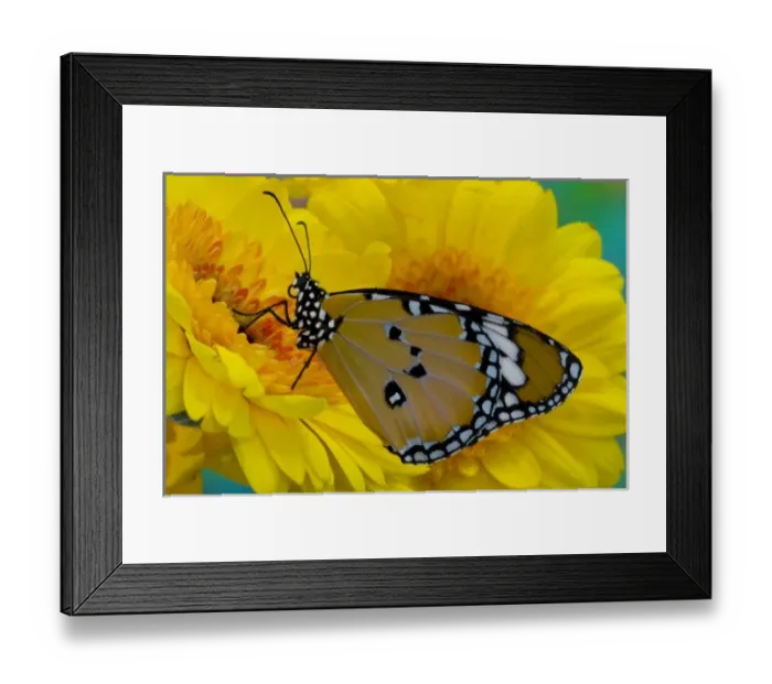 Framed Print : USA, North America, Washington Framed Print : USA, North America, Washington