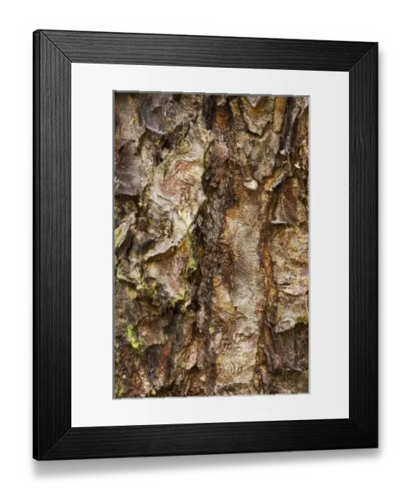 Framed Print : USA, North America, Washington Framed Print : USA, North America, Washington