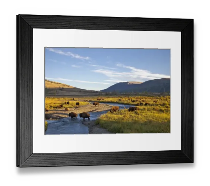 Framed Print : USA, North America, Wyoming Framed Print : USA, North America, Wyoming