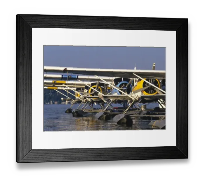 Framed Print : Float planes (sea planes) at dock, Lake Washington, Washington Framed Print : Float planes (sea planes) at dock, Lake Washington, Washington