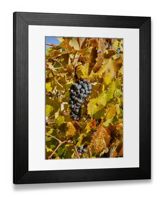 Framed Print : USA, North America, Washington Framed Print : USA, North America, Washington