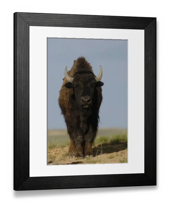 Framed Print : USA, North America, Wyoming