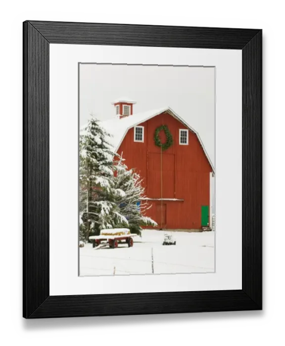 Framed Print : North America, USA, WA, Whidbey Island. Festive red barn in fresh snow Framed Print : North America, USA, WA, Whidbey Island. Festive red barn in fresh snow
