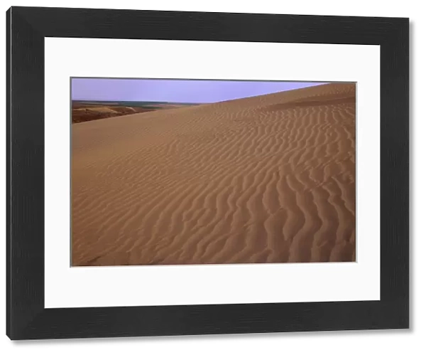 WA, Juniper Dunes Wilderness, sand dunes