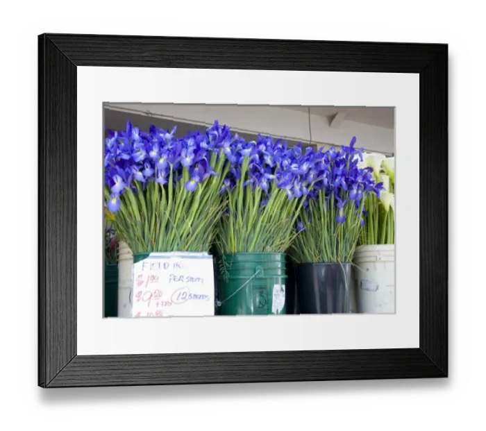 Framed Print : WA, Seattle, flowers for sale, at the Pike Place Market