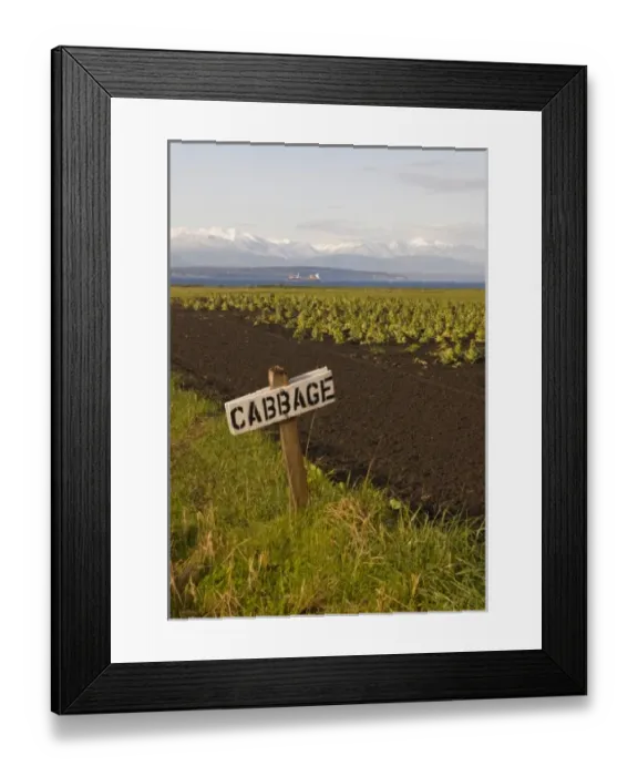 Framed Print : USA, WA, Whidbey Island, Ebeys Landing National Historical Reserve. Signs educate Framed Print : USA, WA, Whidbey Island, Ebeys Landing National Historical Reserve. Signs educate