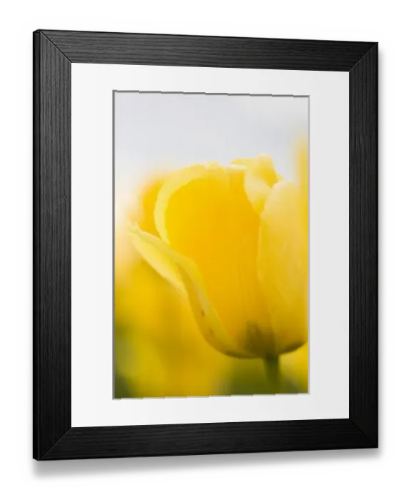 Framed Print : USA, North America, Washington