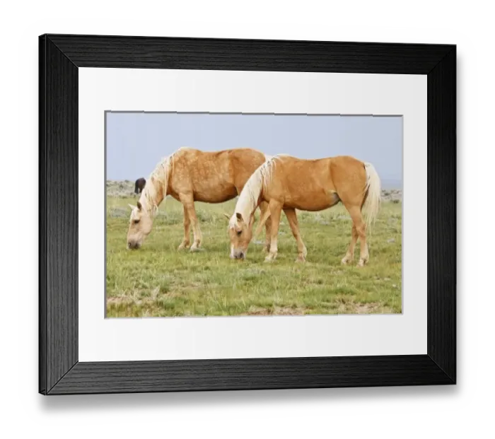Framed Print : USA, North America, Wyoming Framed Print : USA, North America, Wyoming