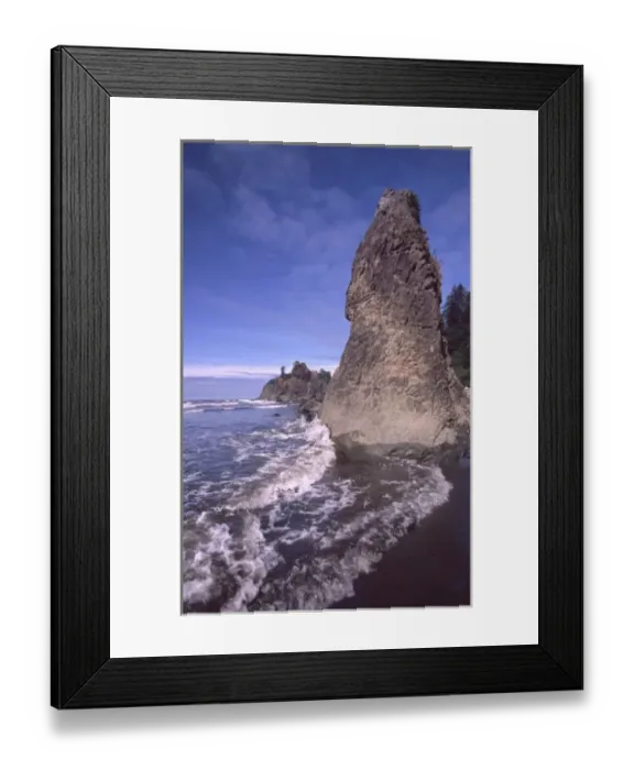 Framed Print : Ruby Beach Sea Stacks, Olympic National Park; Washington; US