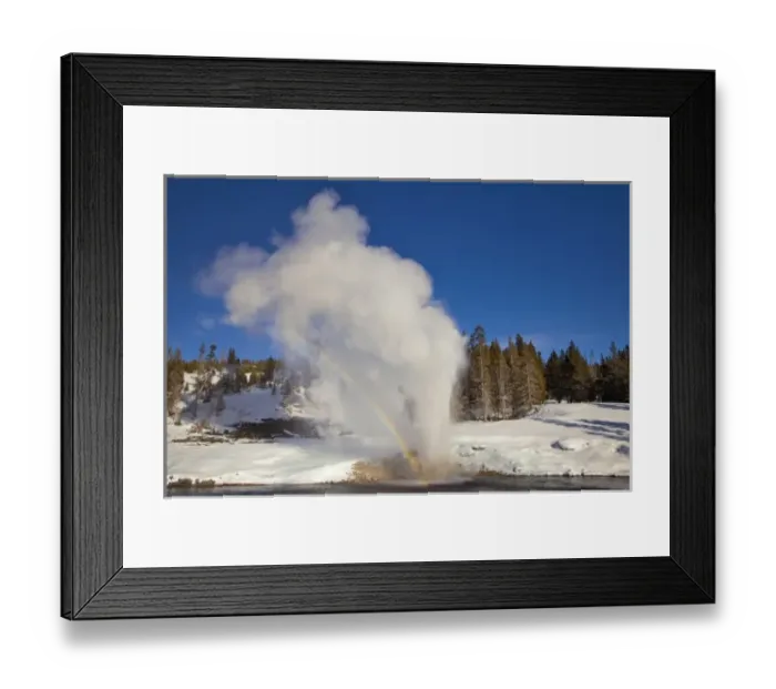 Framed Print : Riverside Geyser erupts along the Firehole River on a nice sunny winter day in Yellowstone Framed Print : Riverside Geyser erupts along the Firehole River on a nice sunny winter day in Yellowstone