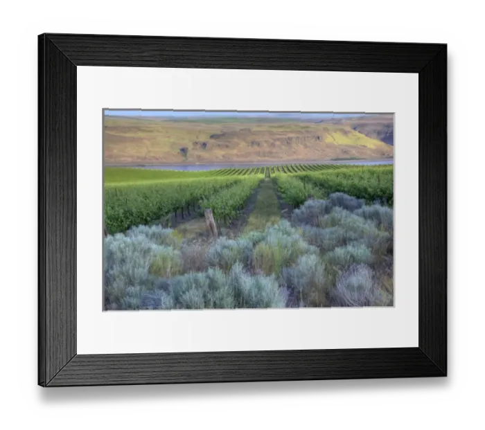 Framed Print : USA, North America, Washington Framed Print : USA, North America, Washington