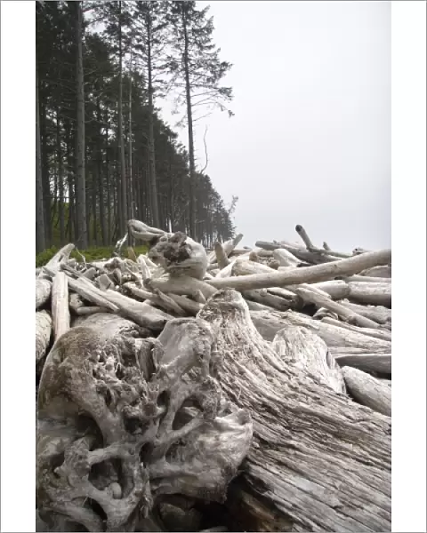 Olympic Peninsula Washington, USA. Ruby Beach is one of Seattles many secluded