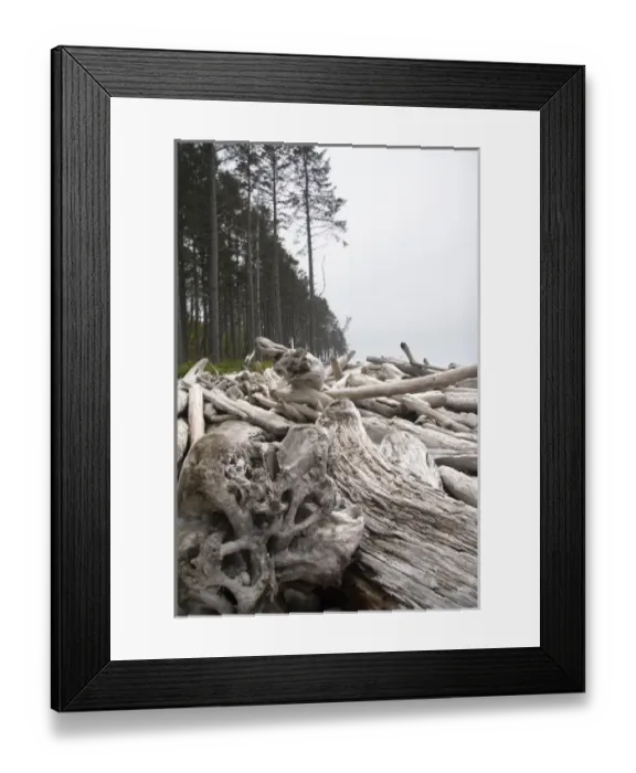 Framed Print : Olympic Peninsula Washington, USA. Ruby Beach is one of Seattles many secluded Framed Print : Olympic Peninsula Washington, USA. Ruby Beach is one of Seattles many secluded
