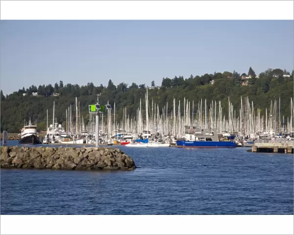 WA, Seattle, Elliott Bay Marina