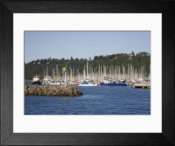 Framed Print : WA, Seattle, Elliott Bay Marina Framed Print : WA, Seattle, Elliott Bay Marina
