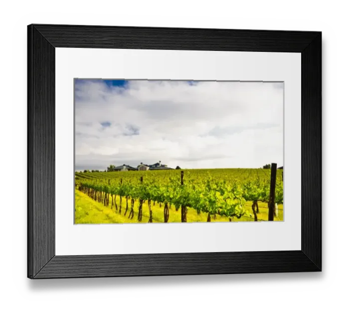 Framed Print : USA, North America, Washington Framed Print : USA, North America, Washington