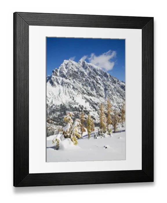 Framed Print : WA, Alpine Lakes Wilderness, Mount Stuart, with golden larch trees and fresh snow Framed Print : WA, Alpine Lakes Wilderness, Mount Stuart, with golden larch trees and fresh snow