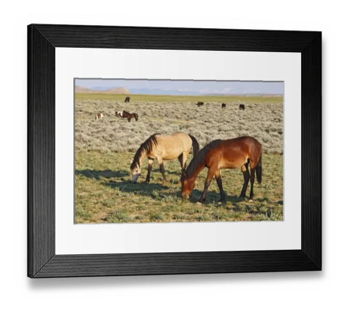 Framed Print : USA, North America, Wyoming Framed Print : USA, North America, Wyoming