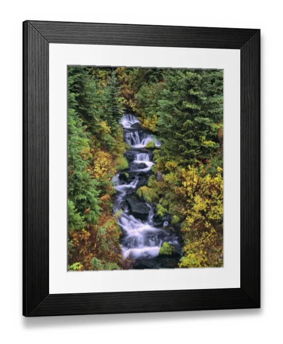 Framed Print : USA, North America, Washington