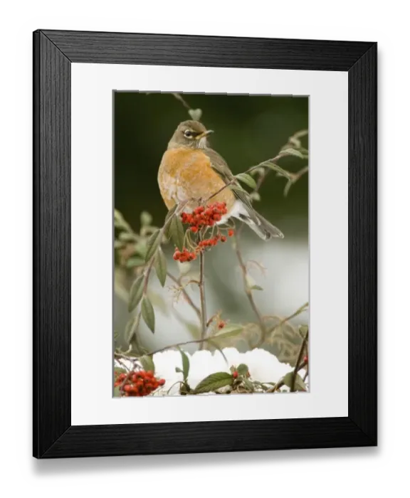 Framed Print : USA, North America, Washington Framed Print : USA, North America, Washington