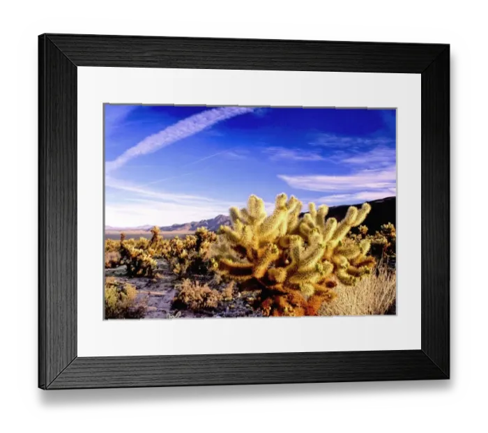 Framed Print : USA, California, Joshua Tree National Park