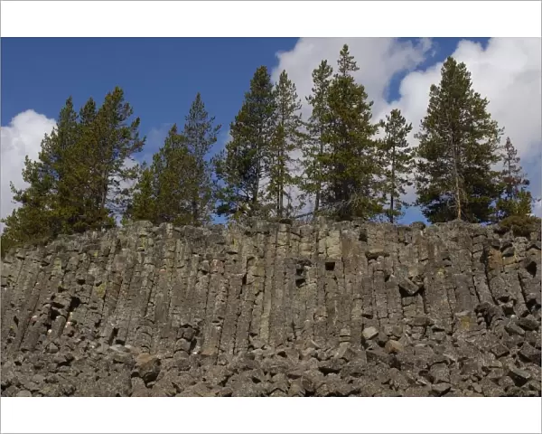 Sheepeater Cliff basalt columns. Yellowstone National Park. Wyoming. USA