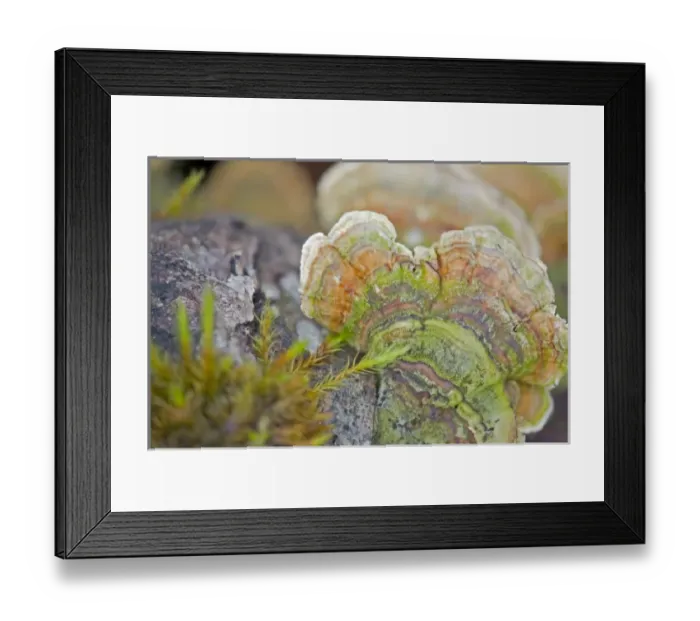 Framed Print : USA, North America, Washington Framed Print : USA, North America, Washington