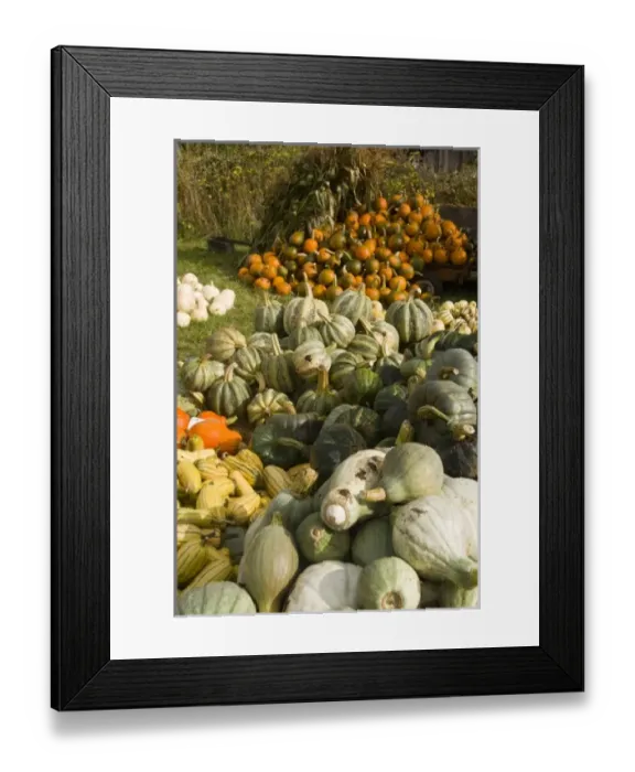 Framed Print : USA, North America, Washington