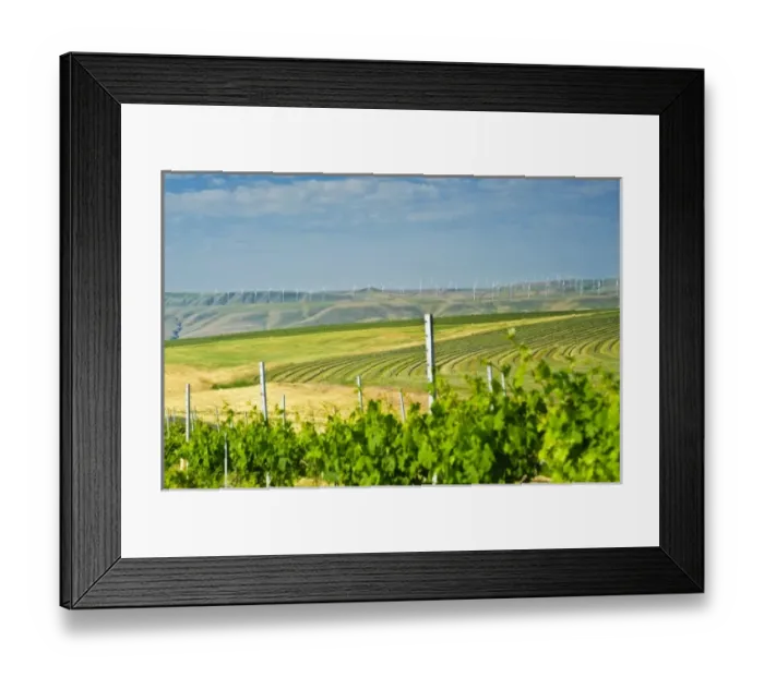 Framed Print : USA, North America, Washington Framed Print : USA, North America, Washington