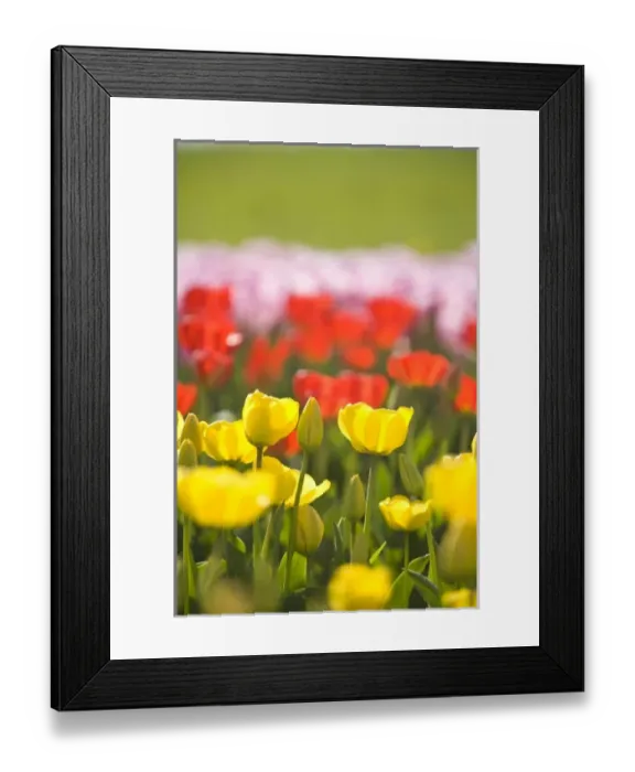Framed Print : USA, North America, Washington Framed Print : USA, North America, Washington