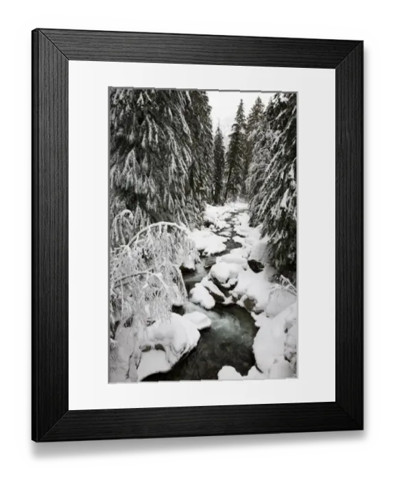 Framed Print : WA, Mt. Baker Snoqualmie NF; South Fork Snoqualmie River after winter snow storm Framed Print : WA, Mt. Baker Snoqualmie NF; South Fork Snoqualmie River after winter snow storm