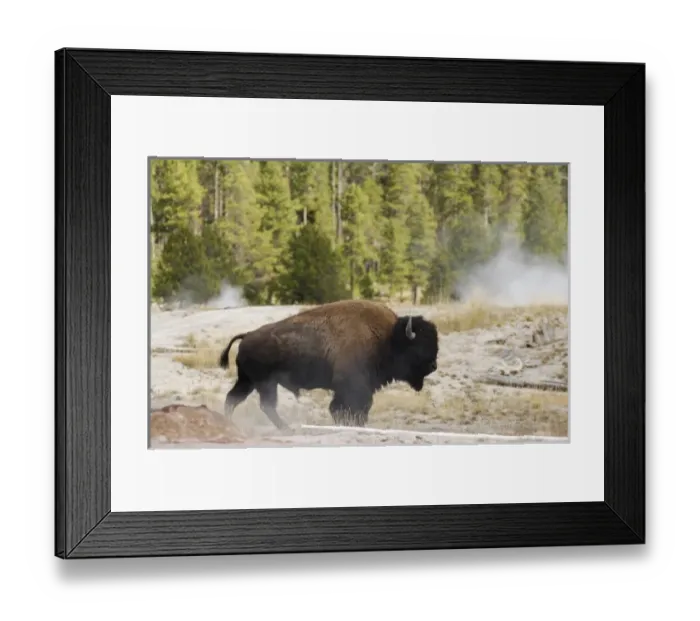 Framed Print : USA, North America, Wyoming