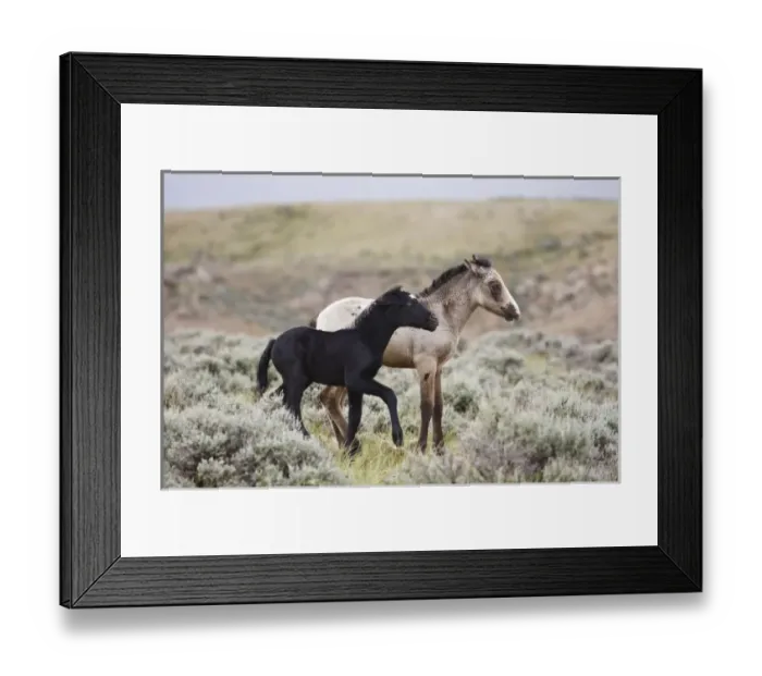 Framed Print : USA, North America, Wyoming