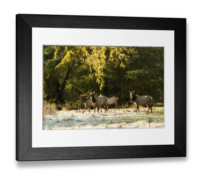 Framed Print : USA, North America, Washington Framed Print : USA, North America, Washington